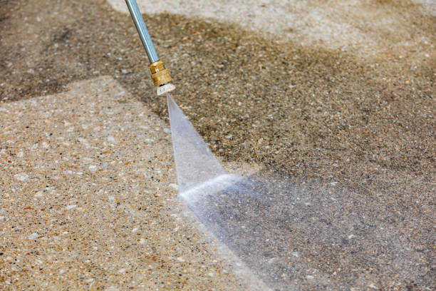 Best Animal Enclosure Cleaning  in Mechanicsburg, OH
